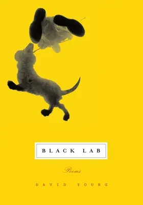 Laboratorio negro: Poemas - Black Lab: Poems