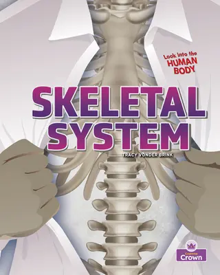 Sistema esquelético - Skeletal System