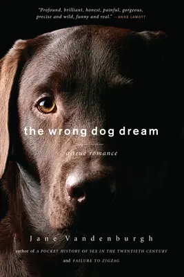 Sueño de perro equivocado - Un romance verdadero - Wrong Dog Dream - A True Romance