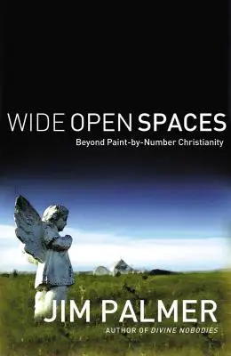 Espacios abiertos: Más allá del cristianismo pintado de blanco - Wide Open Spaces: Beyond Paint-By-Number Christianity