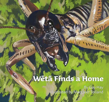 Weta encuentra un hogar - Weta Finds a Home