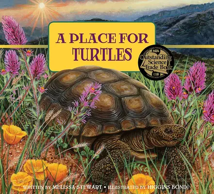 Un lugar para las tortugas - A Place for Turtles