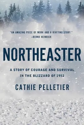 Northeaster: Una historia de valor y supervivencia en la ventisca de 1952 - Northeaster: A Story of Courage and Survival in the Blizzard of 1952