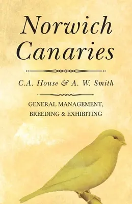 Canarios de Norwich - Norwich Canaries