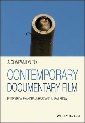 Un compañero del cine documental contemporáneo - A Companion to Contemporary Documentary Film