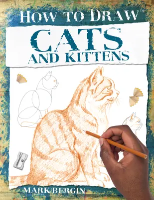 Gatos y gatitos - Cats and Kittens