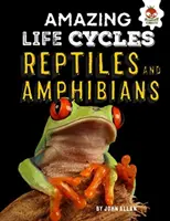 Reptiles y anfibios - Ciclos de vida asombrosos - Reptiles and Amphibians - Amazing Life Cycles