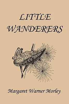 Pequeños vagabundos, edición ilustrada (Clásicos de ayer) - Little Wanderers, Illustrated Edition (Yesterday's Classics)