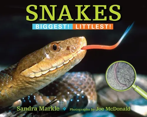 Serpientes: ¡Las más grandes! Las más pequeñas - Snakes: Biggest! Littlest!