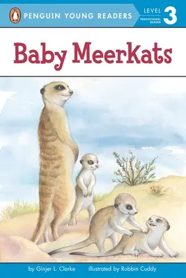 Crías de suricata - Baby Meerkats