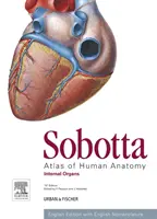 Atlas Sobotta de Anatomía Humana, Vol. 2, 15ª ed., Inglés - Órganos Internos - Sobotta Atlas of Human Anatomy, Vol. 2, 15th ed., English - Internal Organs