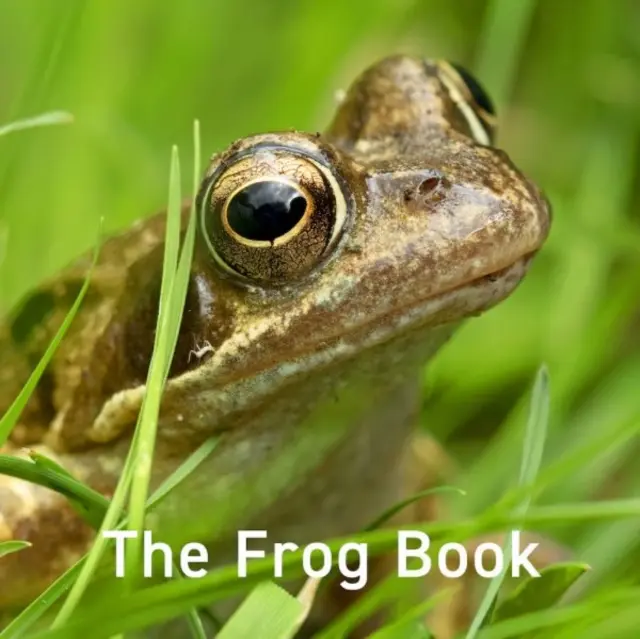 Libro de la rana - Frog Book