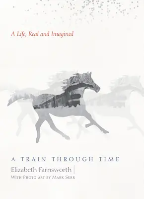 Un tren en el tiempo: Una vida, real e imaginaria - Train Through Time - A Life, Real and Imagined