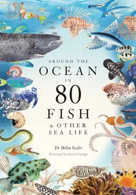 La vuelta al océano en 80 Peces y otros animales marinos - Around the Ocean in 80 Fish and Other Sea Life