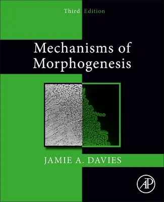 Mecanismos de la morfogénesis - Mechanisms of Morphogenesis
