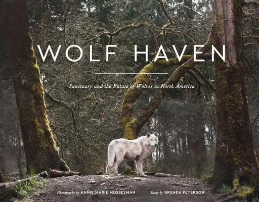 Wolf Haven: Santuario y el futuro de los lobos en Norteamérica - Wolf Haven: Sanctuary and the Future of Wolves in North America