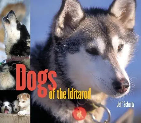 Perros de la Iditarod - Dogs of the Iditarod