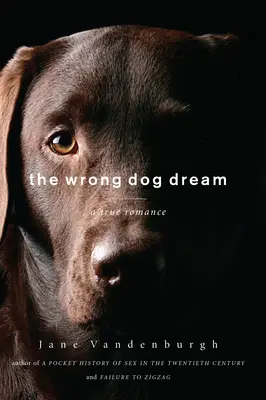 Sueño de perro equivocado - Un romance verdadero - Wrong Dog Dream - A True Romance