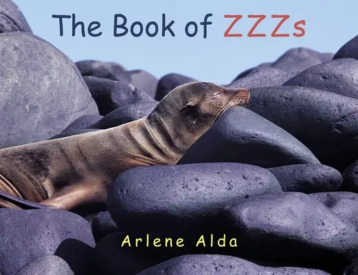 El libro de los ZZZ - The Book of ZZZs