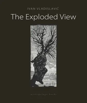 La vista explosionada - The Exploded View