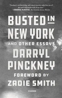 Atrapados en Nueva York y otros ensayos - Busted in New York and Other Essays