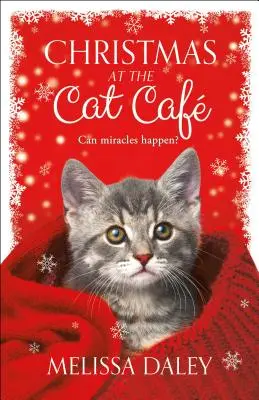 Navidad en el Cat Caf - Christmas at the Cat Caf