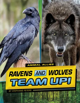 Cuervos y lobos forman equipo - Ravens and Wolves Team Up!