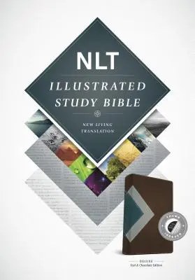 Biblia de Estudio Ilustrada-NLT - Illustrated Study Bible-NLT