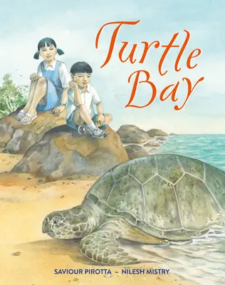 La Bahía de las Tortugas - Turtle Bay