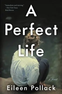 Una vida perfecta - A Perfect Life