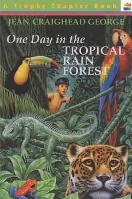 Un día en la selva tropical - One Day in the Tropical Rain Forest