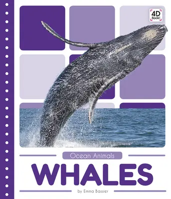 Ballenas - Whales