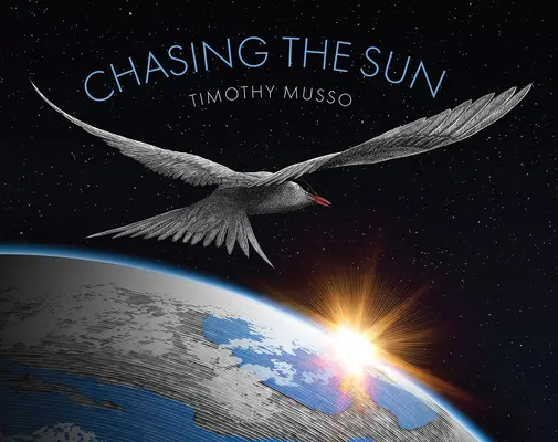 Persiguiendo el sol - Chasing the Sun