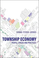 Economía municipal: personas, espacios y prácticas - Township Economy - People, Spaces and Practices