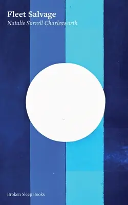 El rescate de la flota - Fleet Salvage