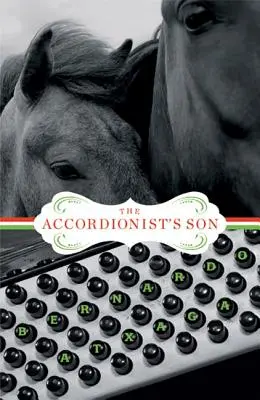 El hijo del acordeonista - The Accordionist's Son