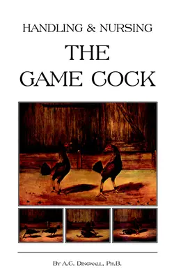 Manejo y cuidado del gallo de caza (Serie Historia de las peleas de gallos) - Handling and Nursing the Game Cock (History of Cockfighting Series)