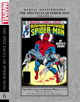 Marvel Masterworks: The Spectacular Spider-Man Tomo 6 - Marvel Masterworks: The Spectacular Spider-Man Vol. 6