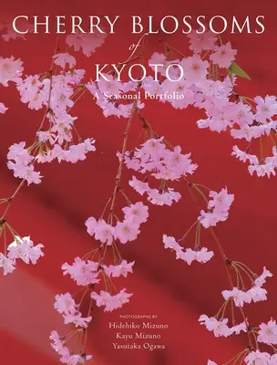 Los cerezos en flor de Kioto: Una cartera estacional - Cherry Blossoms of Kyoto: A Seasonal Portfolio