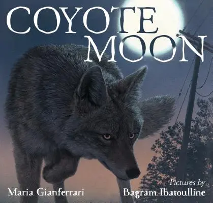 Luna de coyote - Coyote Moon