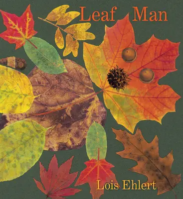 Libro de cartón Leaf Man - Leaf Man Board Book