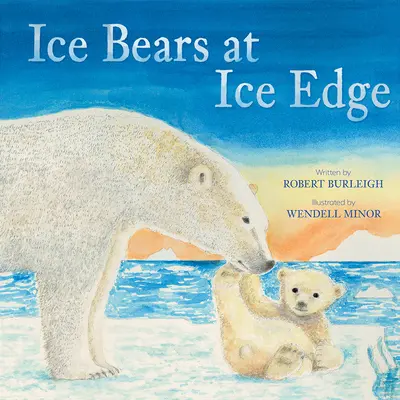 Osos de hielo al borde del hielo - Ice Bears at Ice Edge