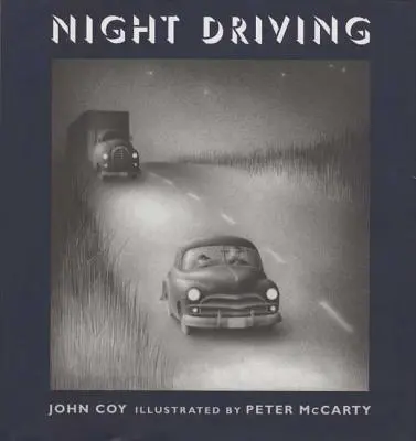 Conducción nocturna - Night Driving