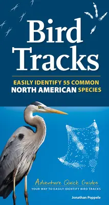 Huellas de aves: Incluye 55 especies norteamericanas - Bird Tracks: Includes 55 North American Species