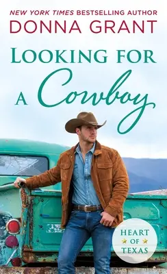 En busca de un vaquero - Looking for a Cowboy