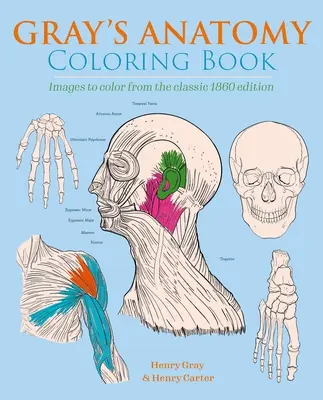 Libro para colorear de Anatomía de Gray: Imágenes para colorear de la edición clásica de 1860 - Gray's Anatomy Coloring Book: Images to Color from the Classic 1860 Edition