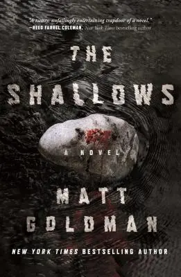 Los bajos fondos: Una novela de Nils Shapiro - The Shallows: A Nils Shapiro Novel