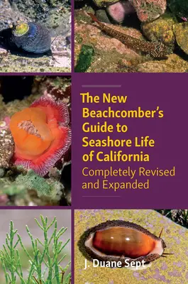 The New Beachcomber's Guide to Seashore Life of California: Completamente revisada y ampliada - The New Beachcomber's Guide to Seashore Life of California: Completely Revised and Expanded