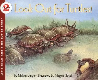 Cuidado con las tortugas - Look Out for Turtles!