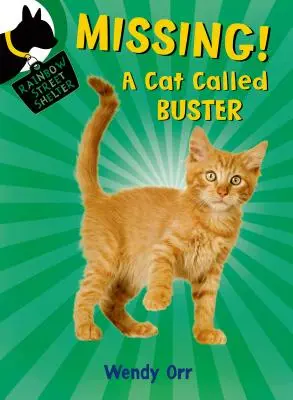 Missing! un gato llamado Buster - Missing! a Cat Called Buster